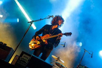 the wombats